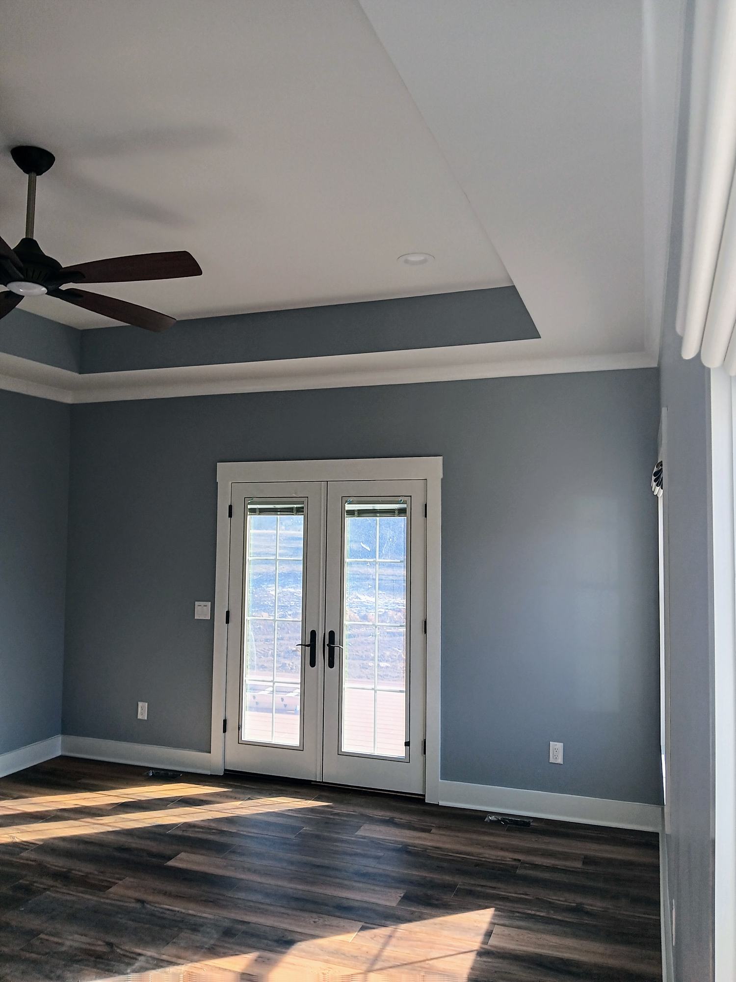 Finished living room with tray ceiling and french doors — whole-home repaint by Painting By Lee